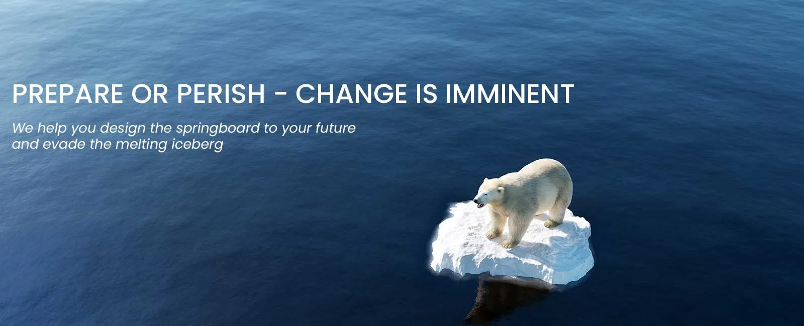 Championing Change