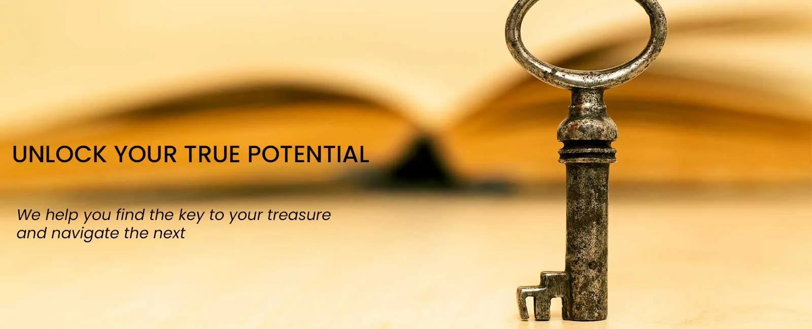 Executive Coaching