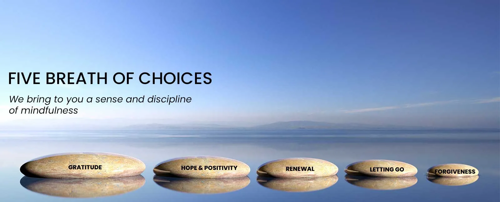 Mindfulness & Wellbeing