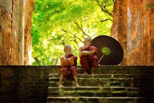 Mindfulness & Well-being